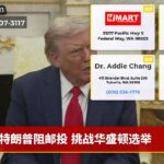 特朗普阻邮投 挑战华盛顿选举