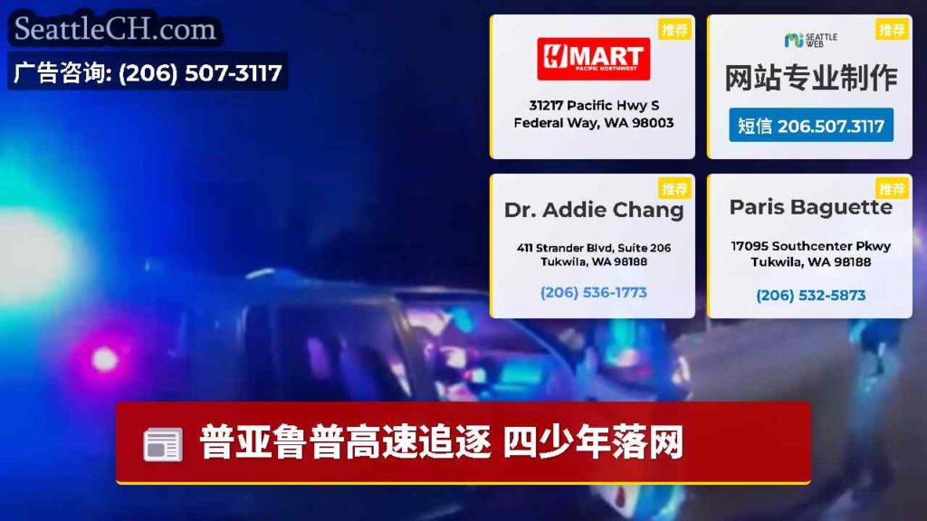 普亚鲁普高速追逐 四少年落网
