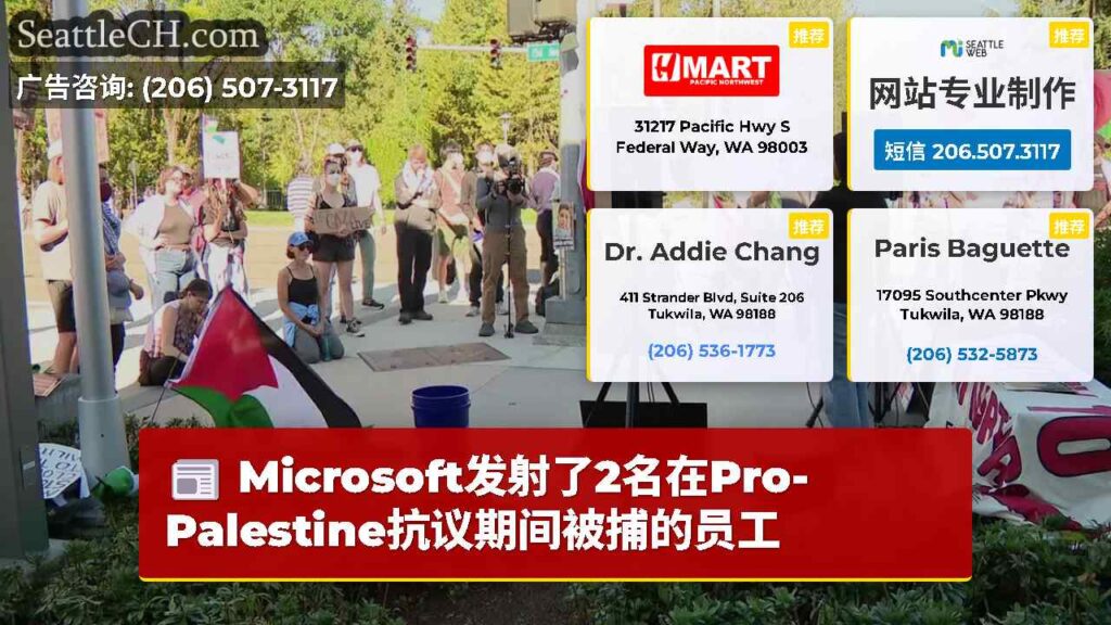 Microsoft发射了2名在Pro-Palestine抗议期间被捕的员工