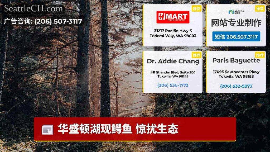 华盛顿湖现鳄鱼 惊扰生态