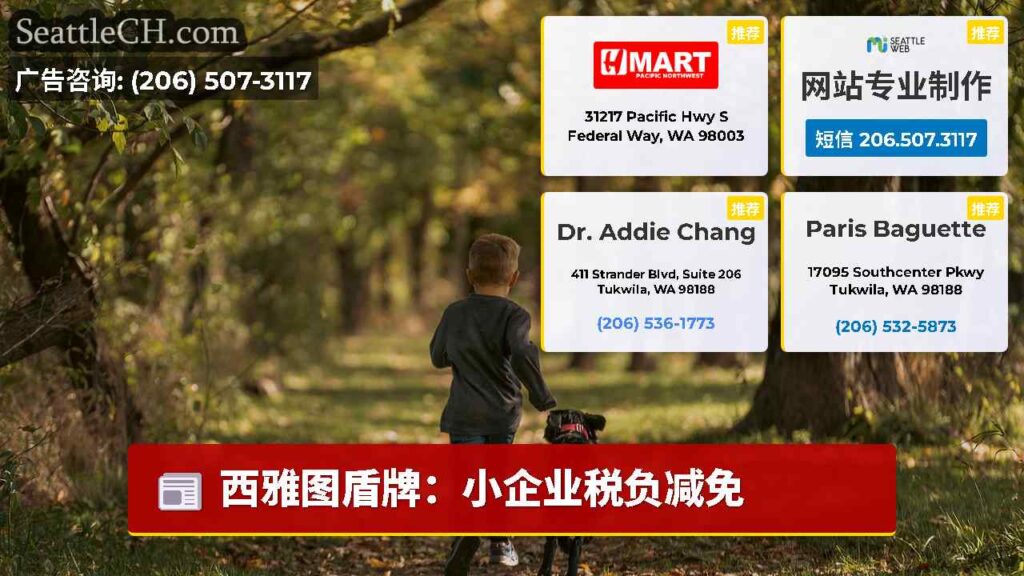 西雅图盾牌：小企业税负减免