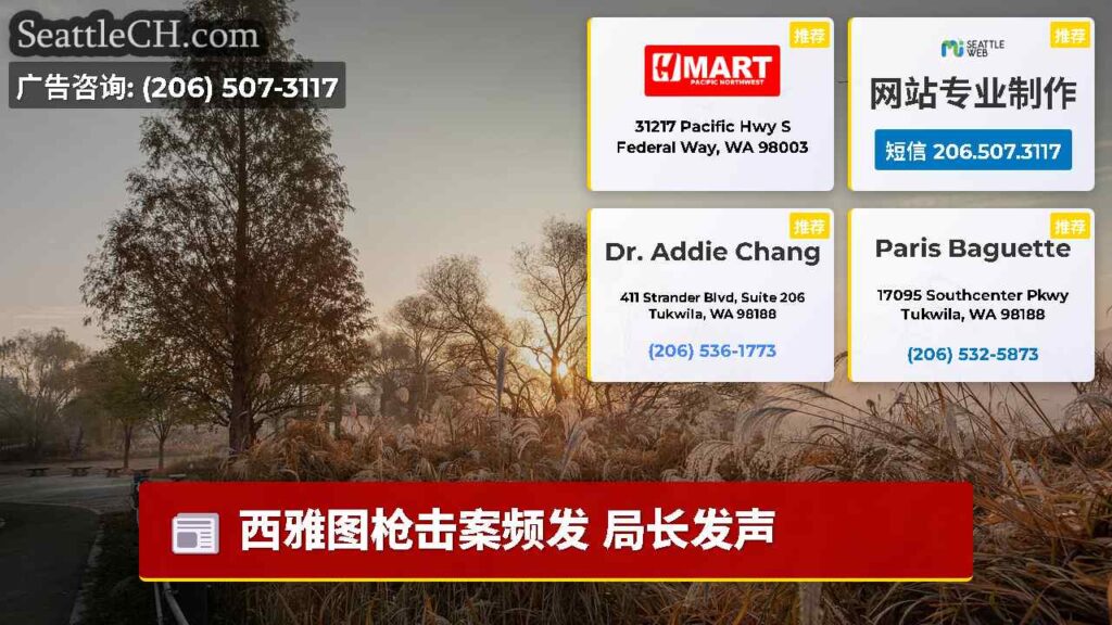 西雅图枪击案频发 局长发声