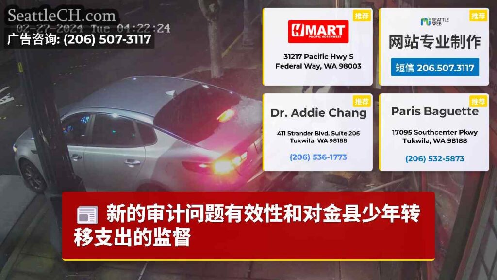 新的审计问题有效性和对金县少年转移支出的监督