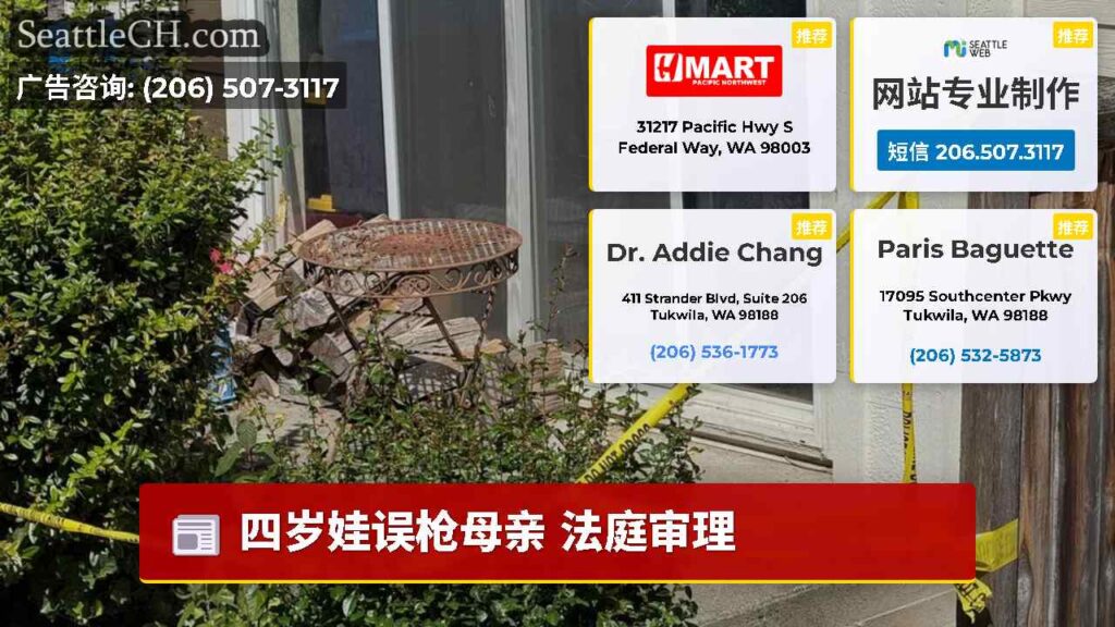 四岁娃误枪母亲 法庭审理