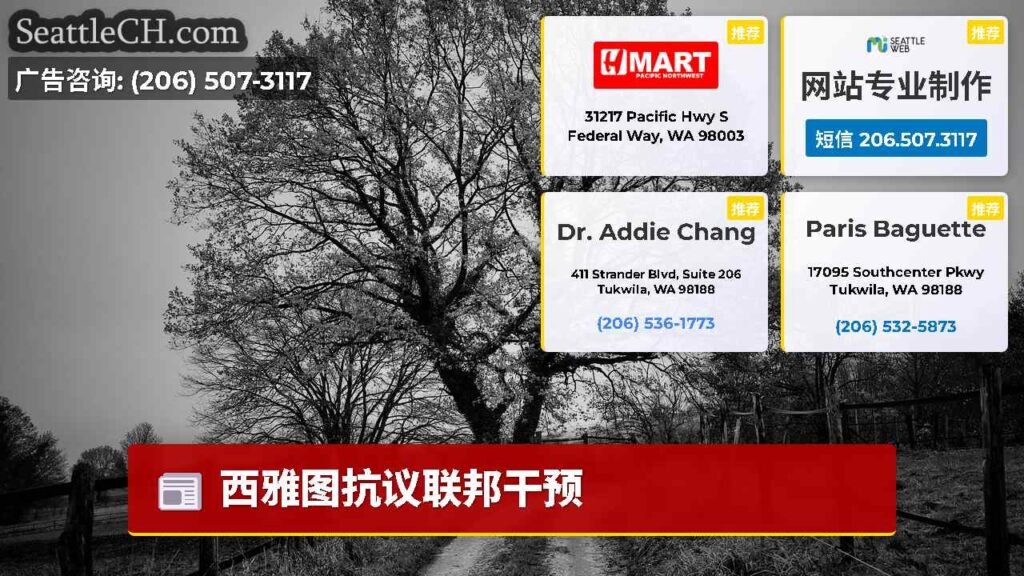 西雅图抗议联邦干预