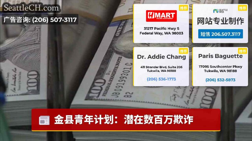 金县青年计划：潜在数百万欺诈