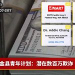 金县青年计划：潜在数百万欺诈