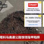 塔科马高速公路惊现指甲陷阱