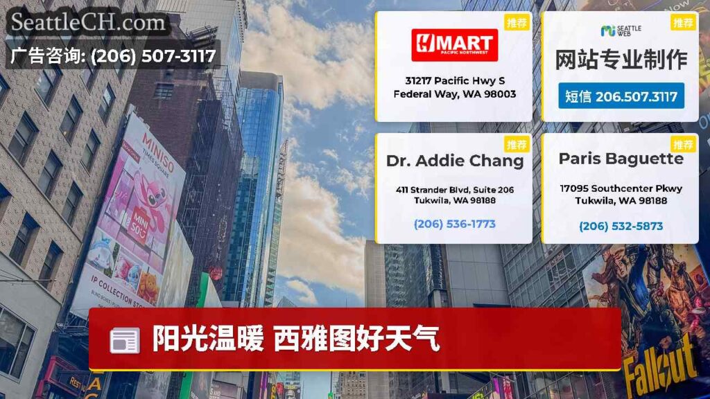 阳光温暖 西雅图好天气
