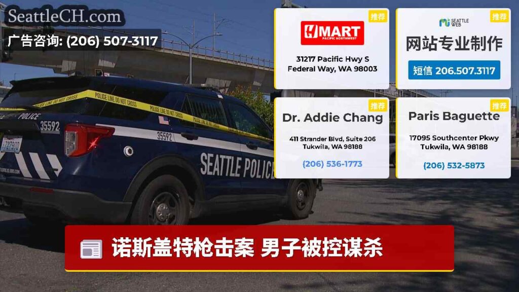 诺斯盖特枪击案 男子被控谋杀