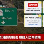 公路愤怒枪击 嫌疑人坠车被捕
