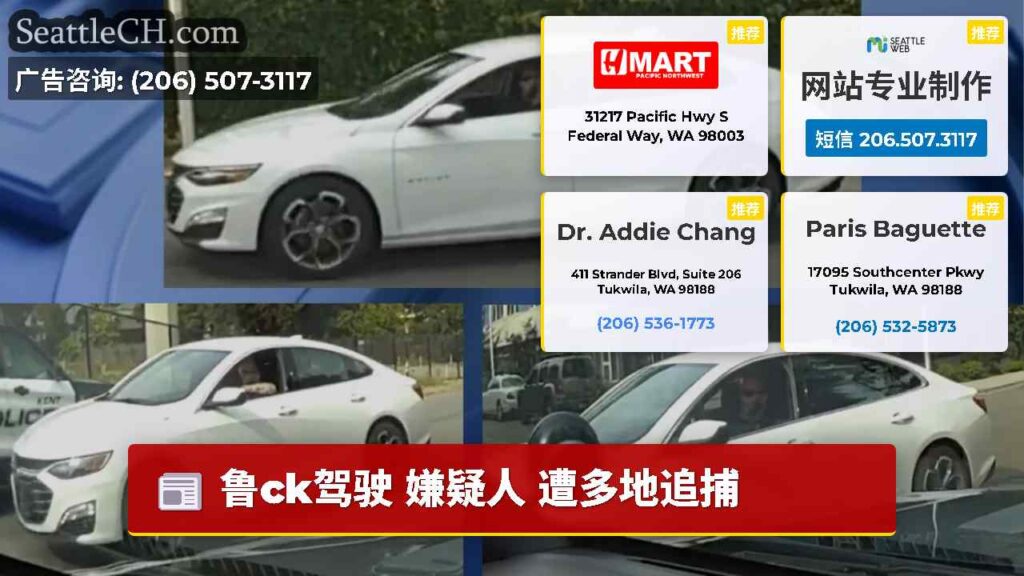 鲁ck驾驶 嫌疑人 遭多地追捕