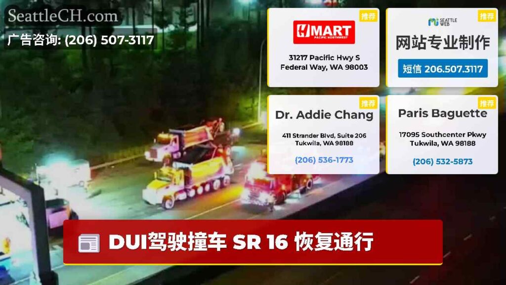DUI驾驶撞车 SR 16 恢复通行