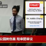 公园刺伤案 陪审团审议