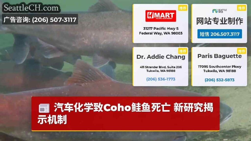 汽车化学致Coho鲑鱼死亡 新研究揭示机制