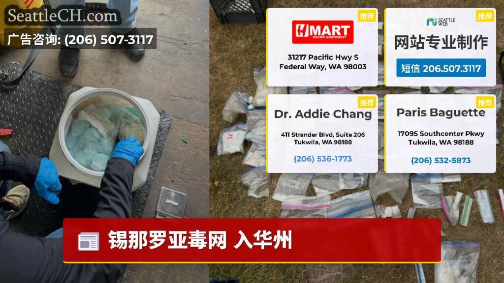 锡那罗亚毒网 入华州