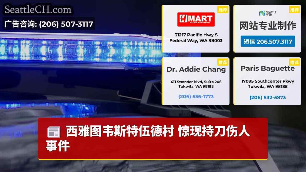 西雅图韦斯特伍德村 惊现持刀伤人事件
