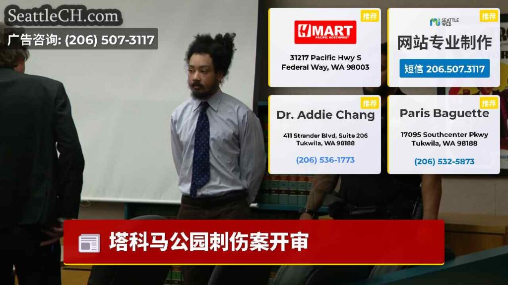 塔科马公园刺伤案开审