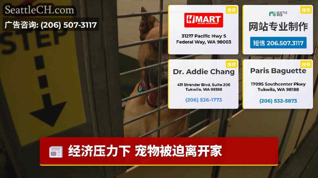 经济压力下 宠物被迫离开家