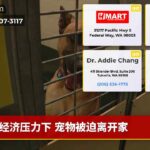 经济压力下 宠物被迫离开家