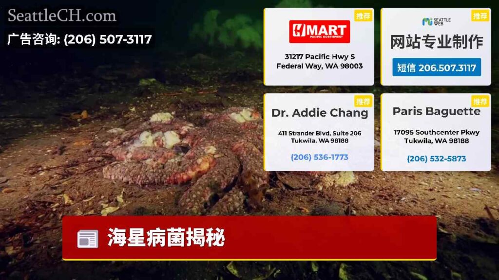海星病菌揭秘