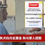 失犬四月后重逢 狗与家人团聚