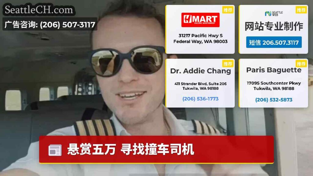 悬赏五万 寻找撞车司机