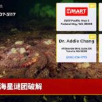 海星谜团破解
