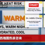 西雅图热浪咨询