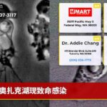 奥扎克湖现致命感染