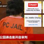 公园袭击案开庭审判