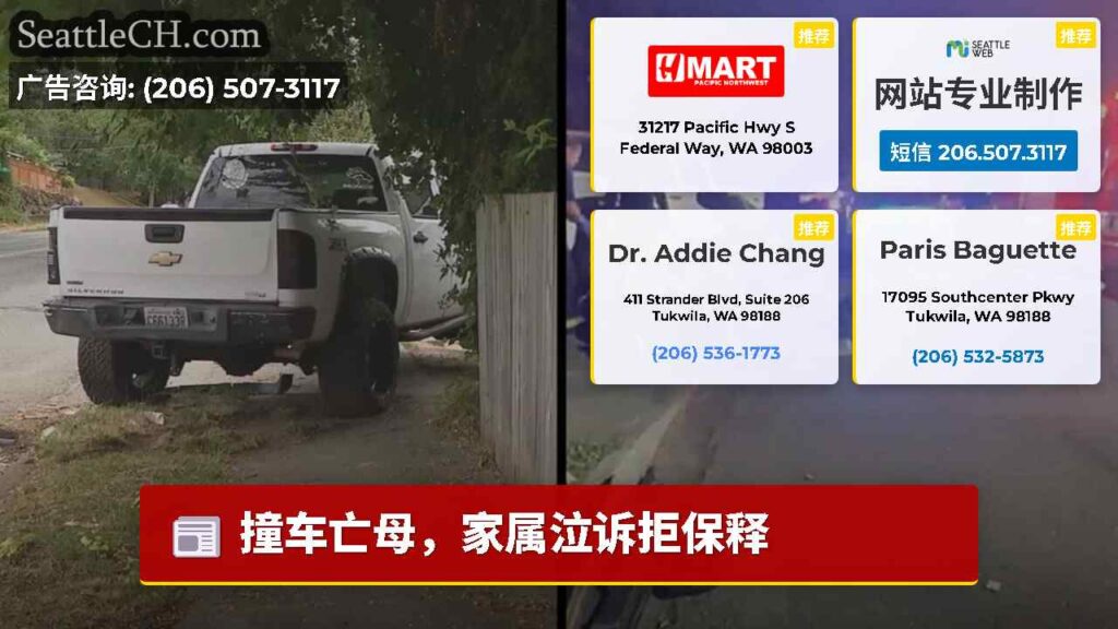 撞车亡母，家属泣诉拒保释