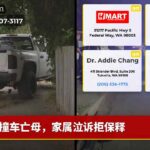 撞车亡母，家属泣诉拒保释