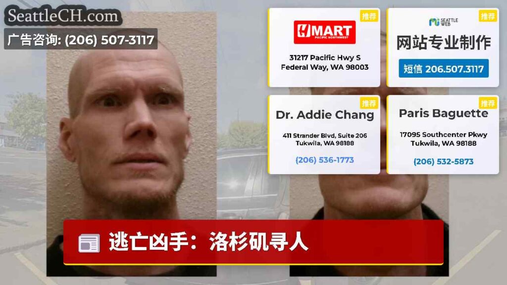 逃亡凶手：洛杉矶寻人