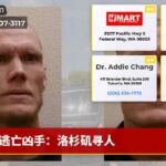 逃亡凶手：洛杉矶寻人