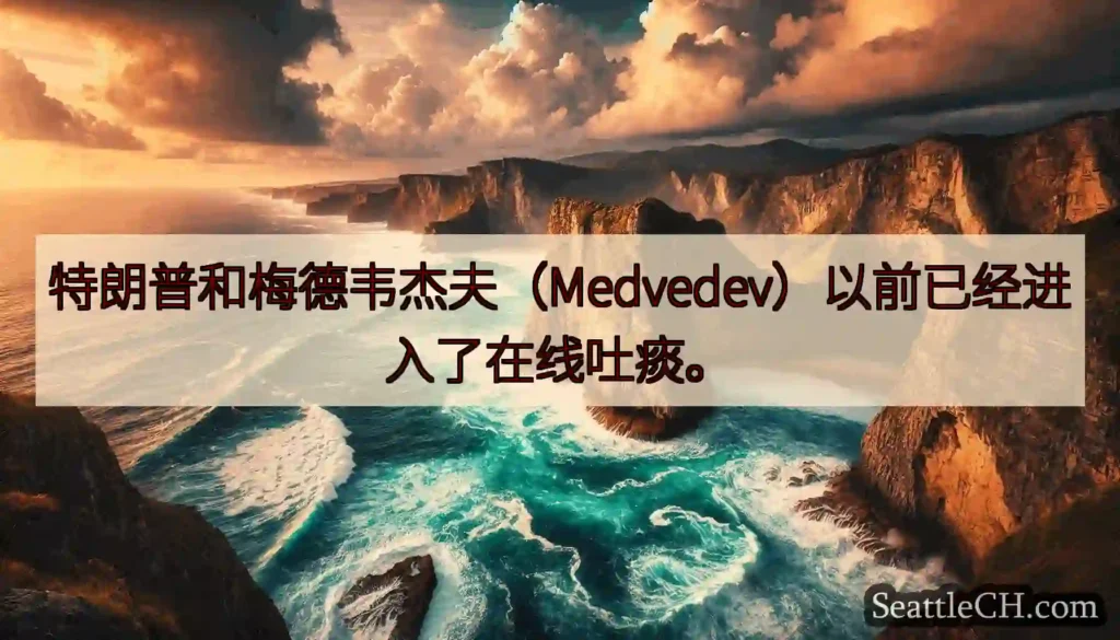 特朗普和梅德韦杰夫（Medvedev）以前已经进入了在线吐痰。