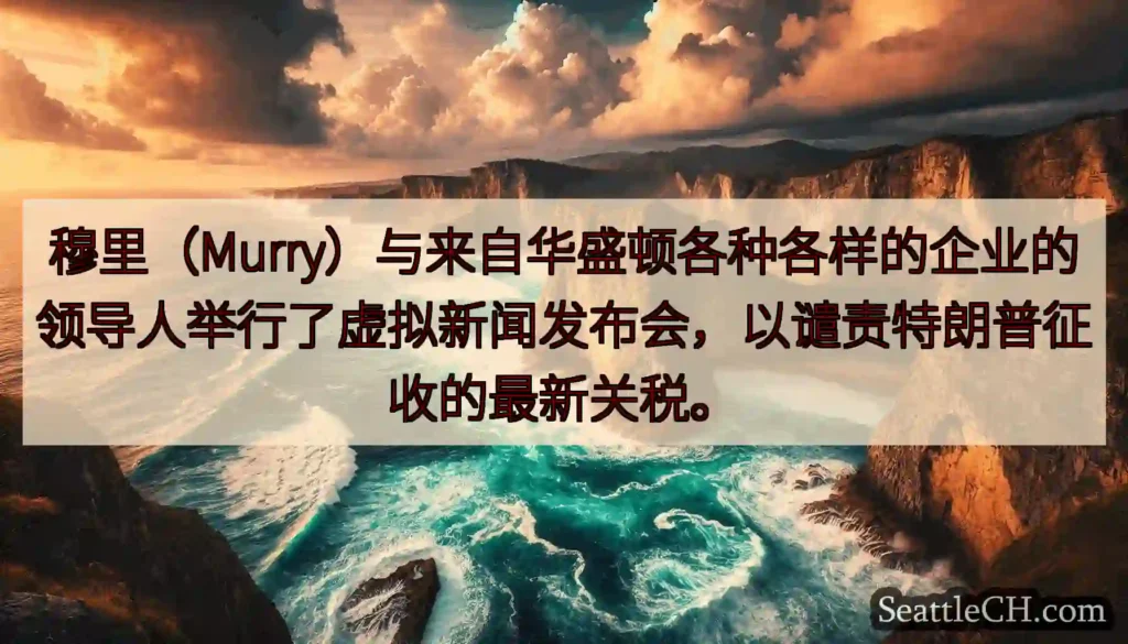 穆里（Murry）与来自华盛顿各种各样的企业的领导人举行了虚拟新闻发布会，以谴责特朗普征收的最新关税