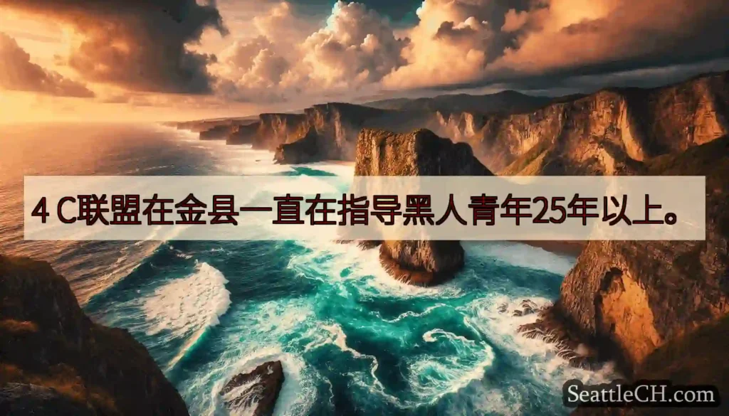 4 C联盟在金县一直在指导黑人青年25年以上。