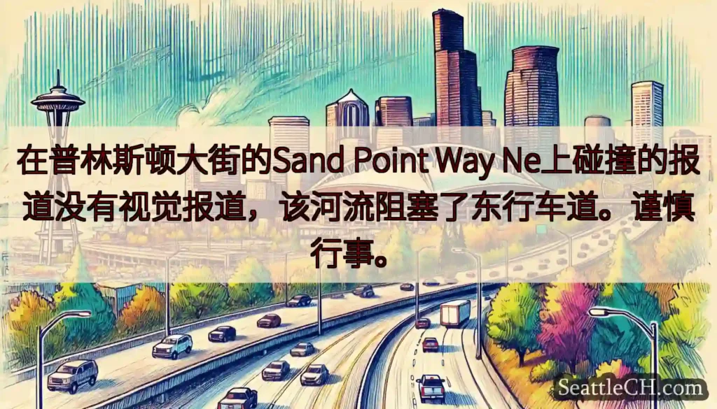 在普林斯顿大街的Sand Point Way