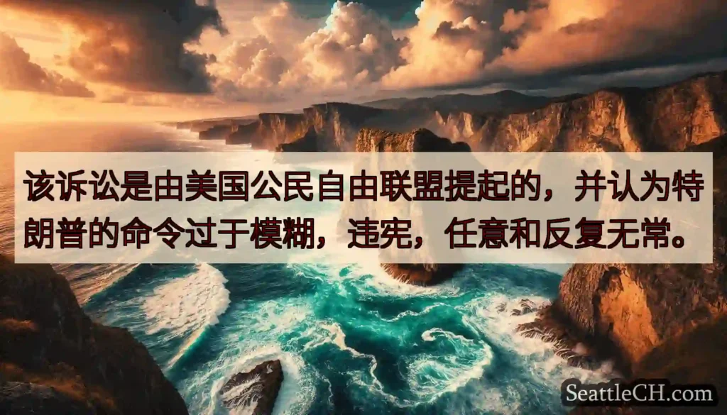 该诉讼是由美国公民自由联盟提起的，并认为特朗普的命令过于模糊，违宪，任意和反复无常。