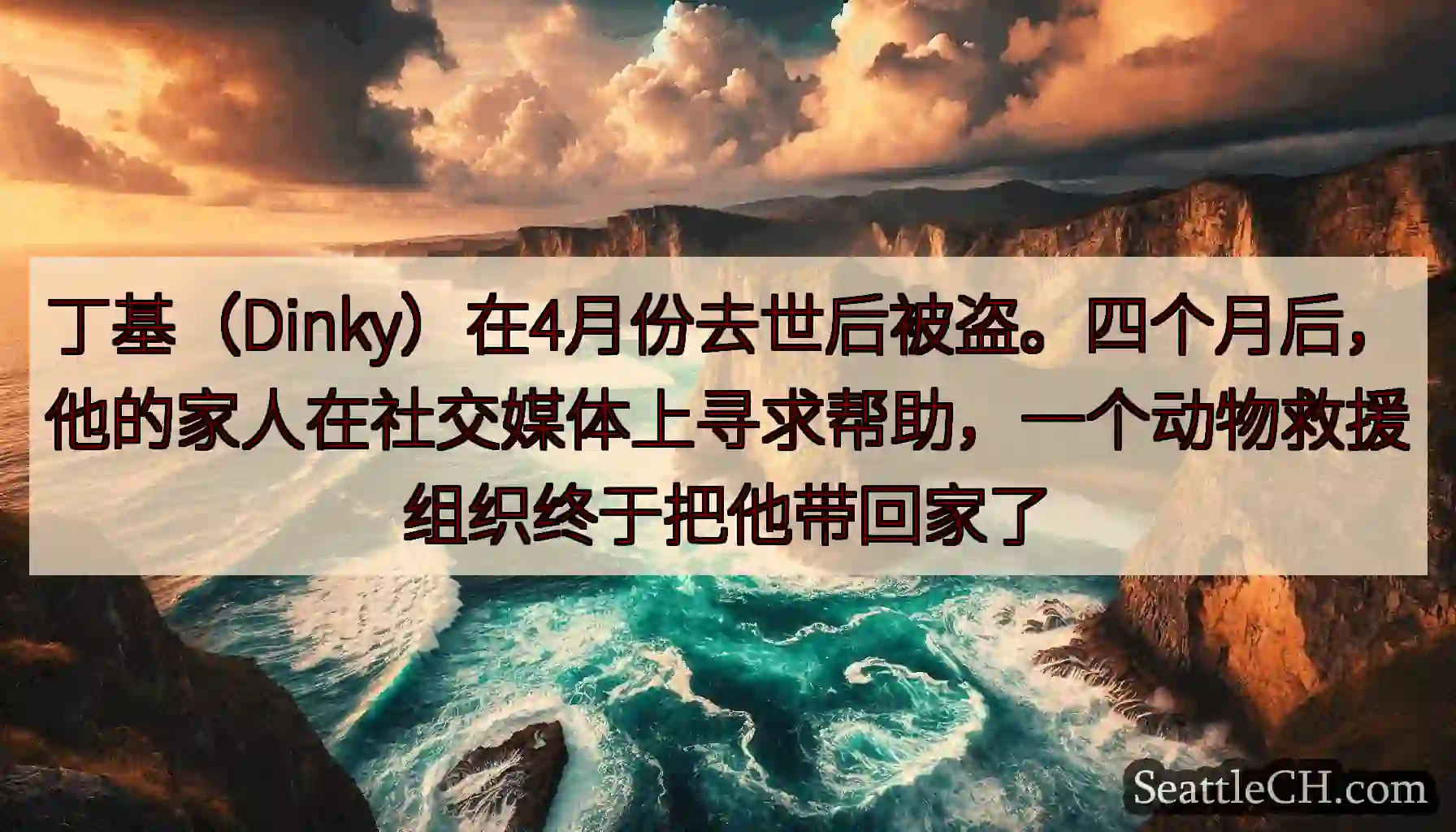 丁基（Dinky）在4月份去世后被盗。四个月后，他的家人在社交媒体上寻求帮助，一个动物救援组织终于把