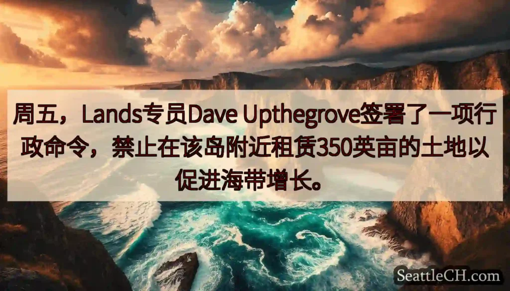 周五，Lands专员Dave