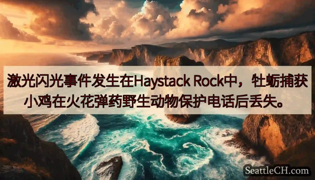 激光闪光事件发生在Haystack Rock中，牡蛎捕获小鸡在火花弹药野生动物保护电话后丢失。