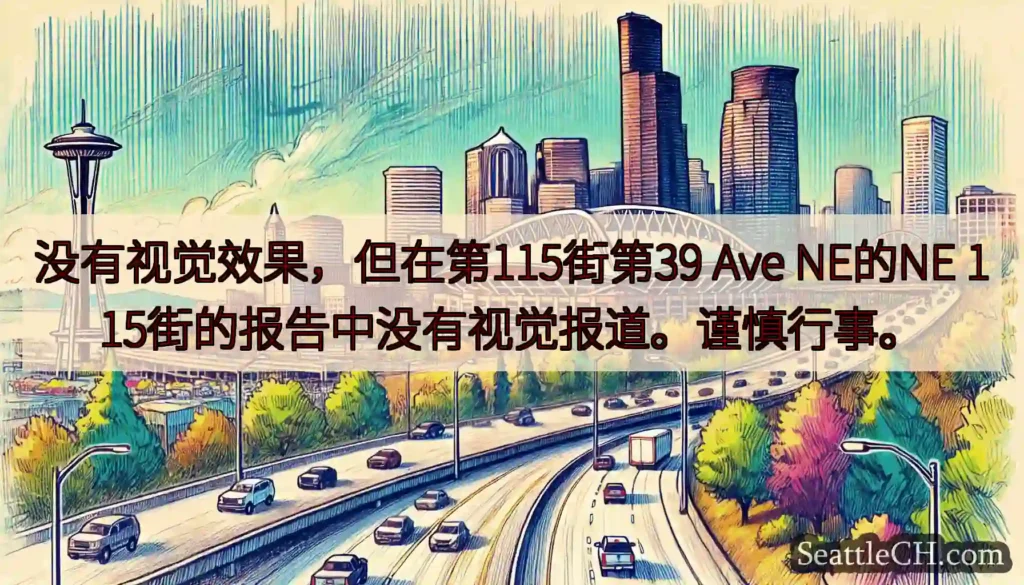没有视觉效果，但在第115街第39 Ave NE的NE 115街的报告中没有视觉报道。谨慎行事。
