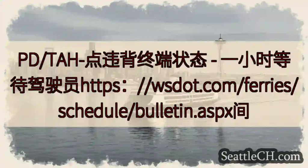 PD/TAH-点违背终端状态 -