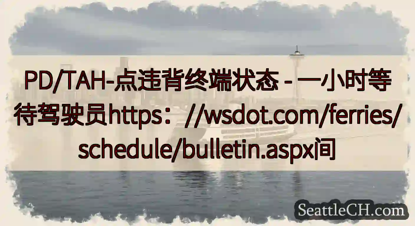 PD/TAH-点违背终端状态 -