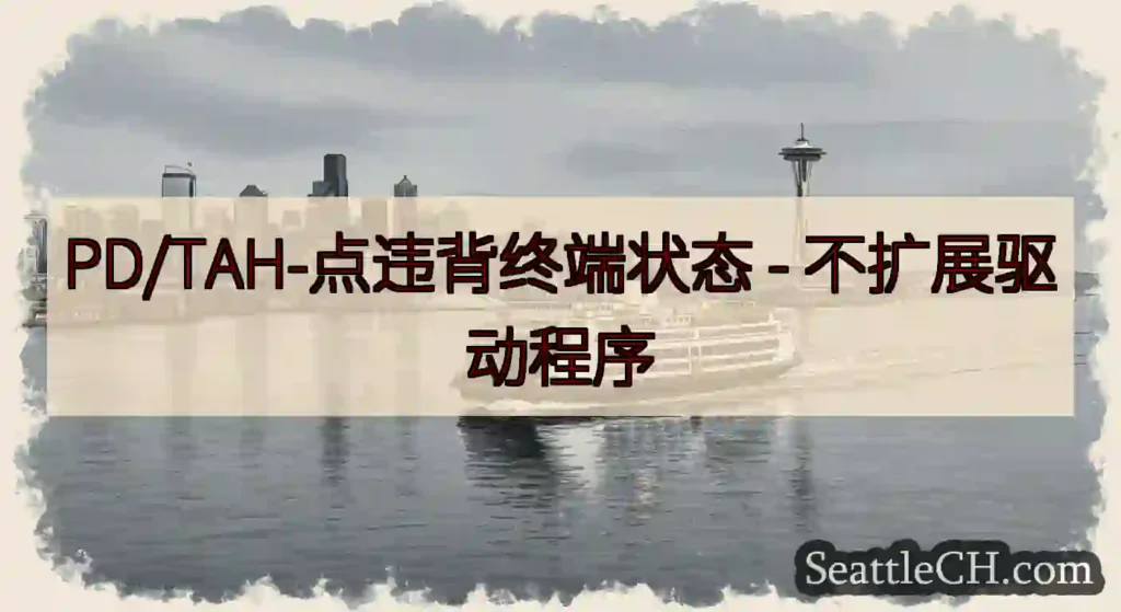PD/TAH-点违背终端状态 -
