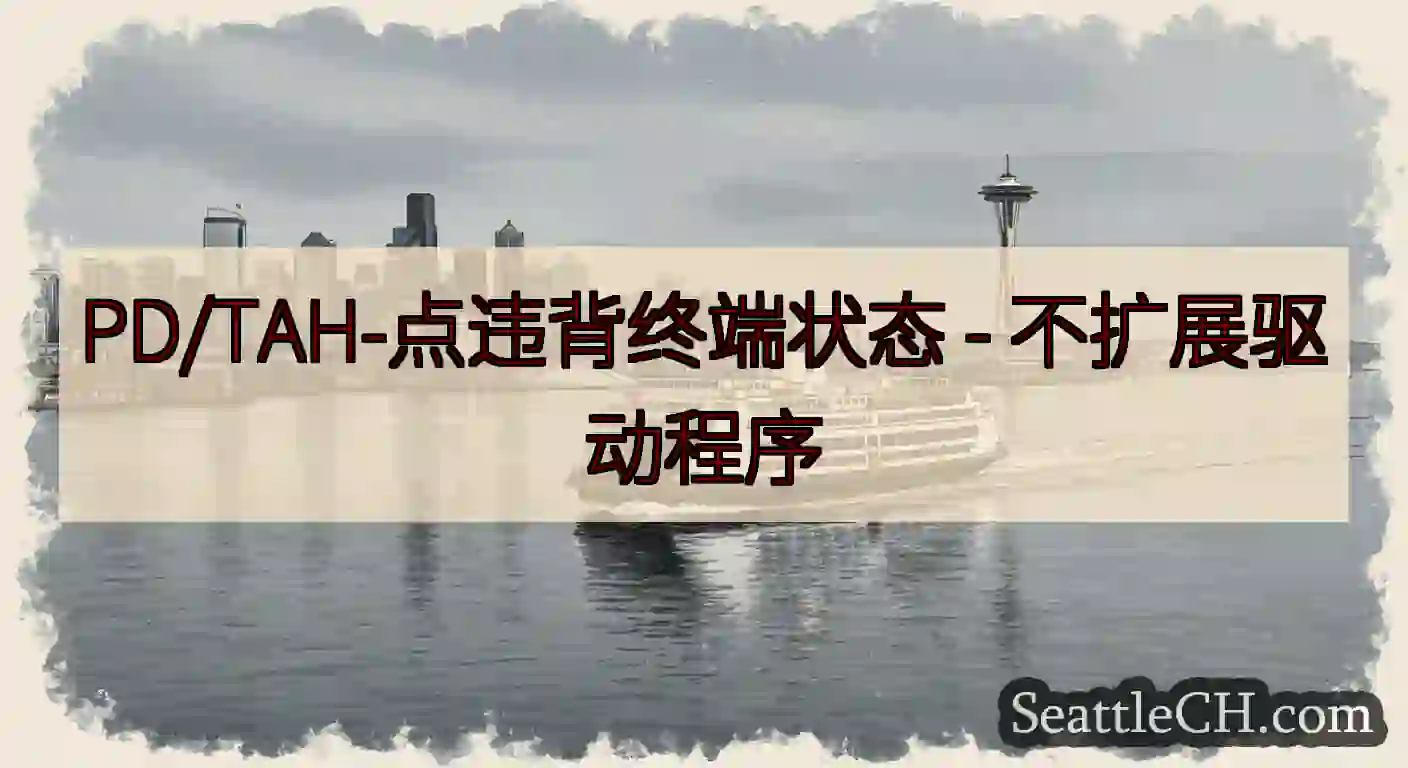 PD/TAH-点违背终端状态 -