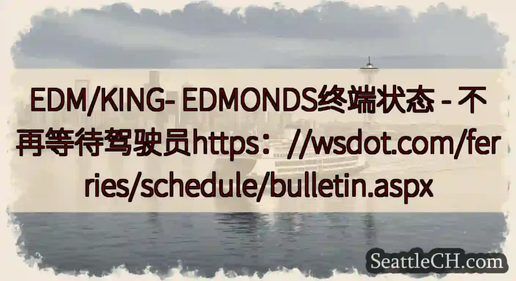 EDM/KING- EDMONDS终端状态 -
