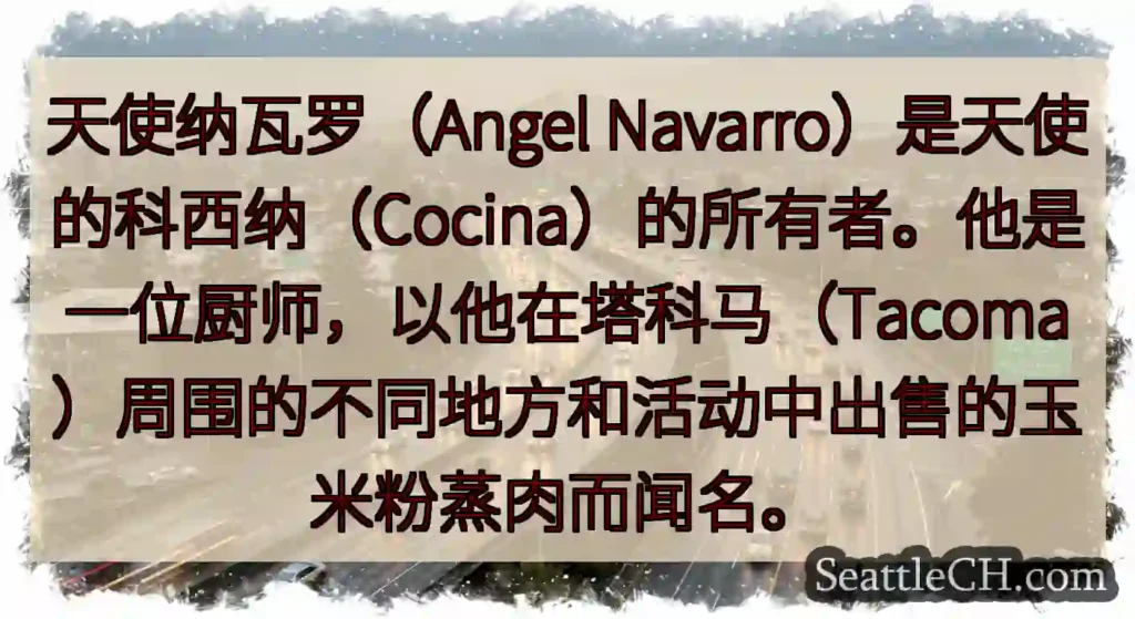 天使纳瓦罗（Angel